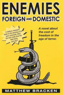 Read Enemies Foreign And Domestic online free by Matthew Bracken